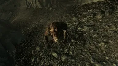 死亡爪同伴