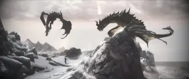 电视ENB