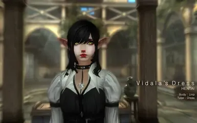 Hentai 制作的一款服装