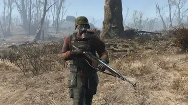 M14独立步枪