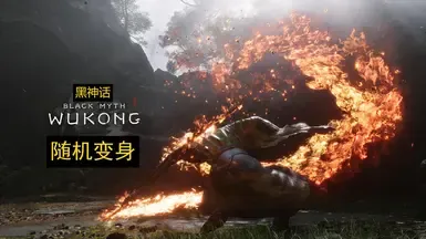 随机变更