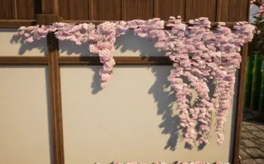 常春藤重着色