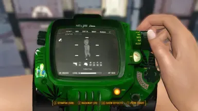 玛丽·简版 Pip Boy