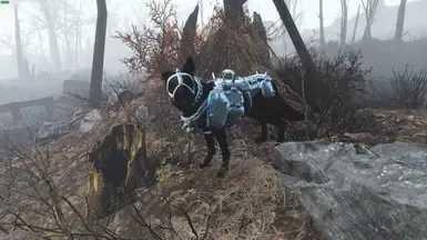 《暗影独立犬类随从》