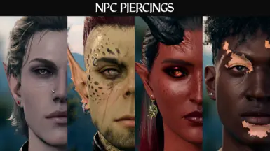 NPC 穿孔
