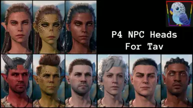 P4 NPC头像为Tav(NPC同伴和起源)