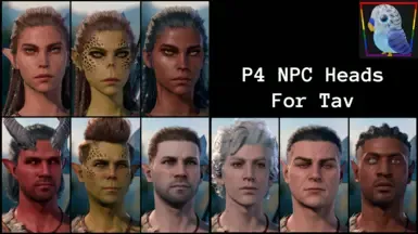 P4 NPC头像为Tav(NPC同伴和起源)