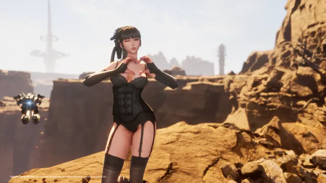 (CNS) lingerie 内衣套装