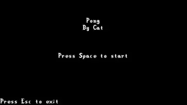 乒乓