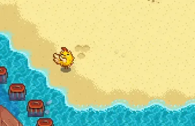 海鸥现在变成了蓬松小鸡