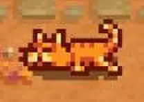 猫咪礼物