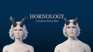 《号角学》——自定义号角模组