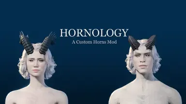 《号角学》——自定义号角模组