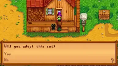 虚空猫