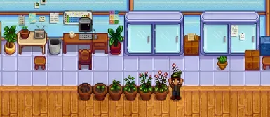 鼠耳芥