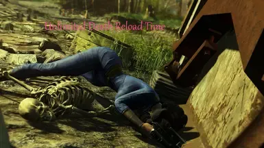 死亡持续时间选项 -FO4