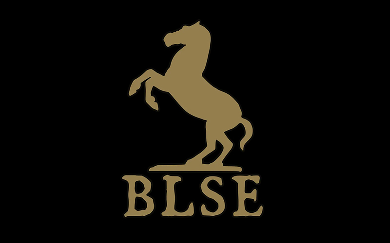BLSE启动器