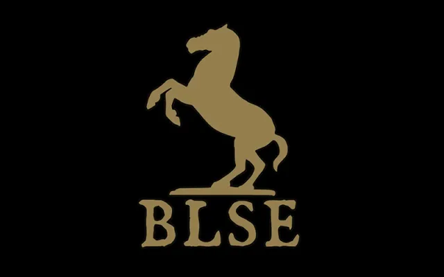 BLSE启动器