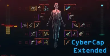 CyberCap-扩展