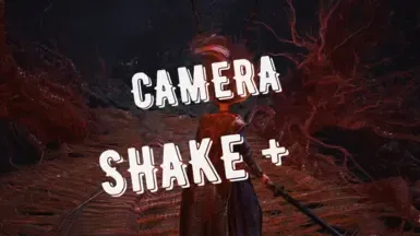 Camera Shake Plus