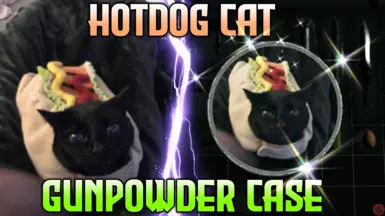 热狗 猫 火药 案件