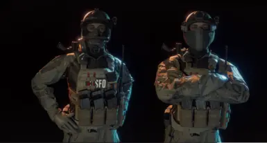 NCA 或 CTSFO 特警队服装