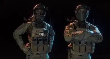 NCA 或 CTSFO 特警队服装