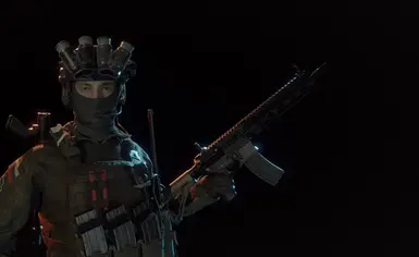 HK416 特遣队 141