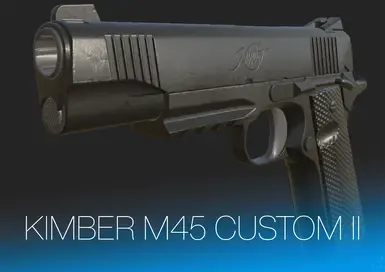 M45 金伯