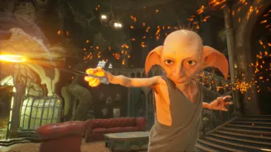 House Elf  (玩笑模组)