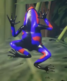 莱曼氏毒蛙模组