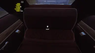 在费恩代尔入睡