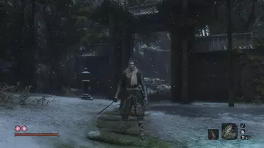 移除忍义手（仅视觉效果）