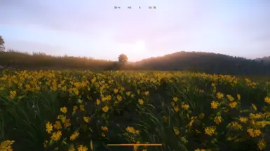 草药采集范围增加