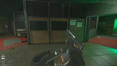 S.T.A.R.S 生化危机 M9