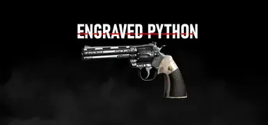 雕刻的Python