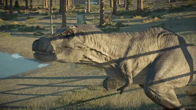 Sue Trex（进行中，将会改进）