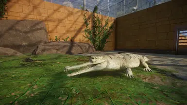 更好的白化长吻鳄模组（1.10 更新版）