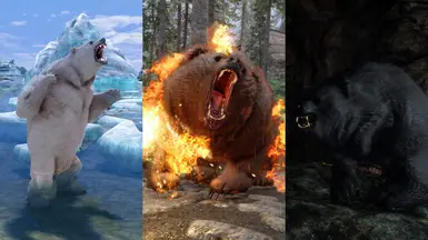 恩德尔 SE - 北方之熊