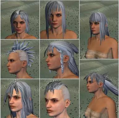 AHB - 阿尔基尔发型与胡须