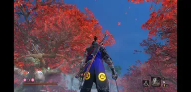 Hattori Clan Sekiro