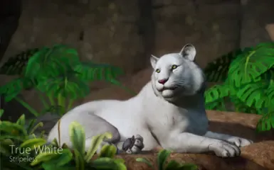 非凡猛虎