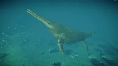 秀尼鱼龙