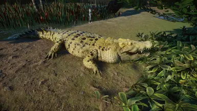 白化盐渍模组（1.10 更新版）