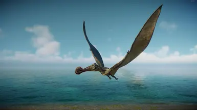 更准确的托罗格纳特斯