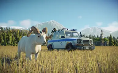 活山羊 - 大角羊替换