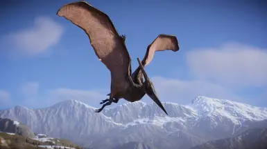 更好的翼龙模组