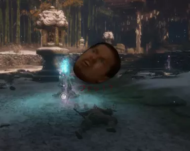 将只狼死亡画面改为力量前辈