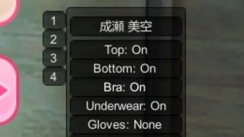 服装选择插件