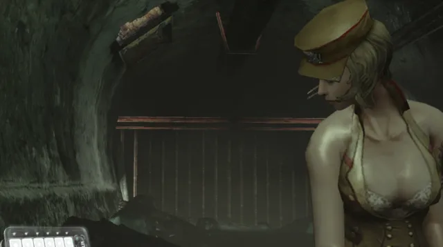 灵狐者替换雪莉·柏金